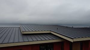 Roof Coating Services in Colfax, IL